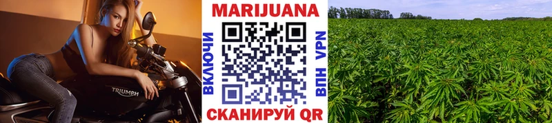 МЕГА   Коммунар  Каннабис SATIVA & INDICA  что такое  